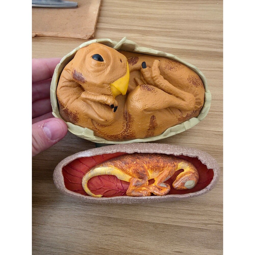 Dinosaur in eggs display pieces